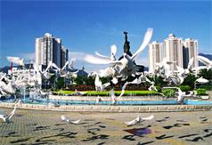 資質(zhì)榮譽(yù)